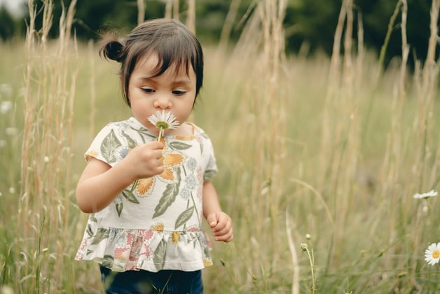 2-years-old playing with flower